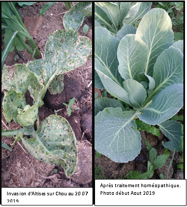 Illustration de la brève