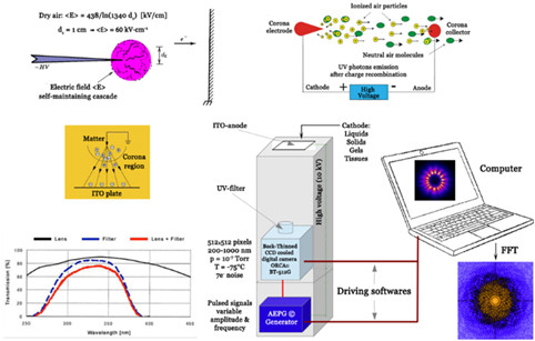 Dyn'Hom Electronic photonic Analysis