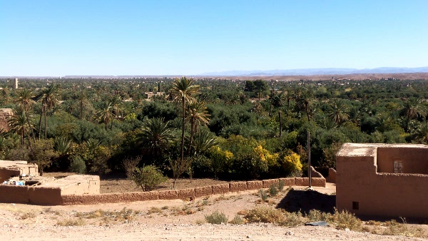 vue panoramique palmeraie de skoura